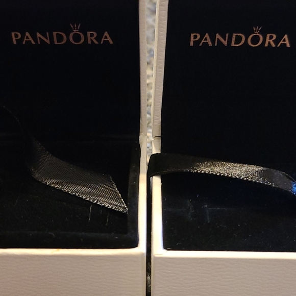 2 Pandora charm boxes - Picture 2 of 2